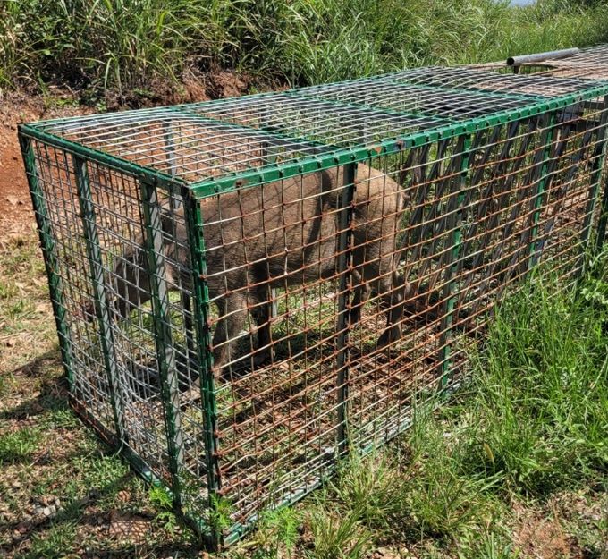 2026년 유해야생동물 피해방지단 모집