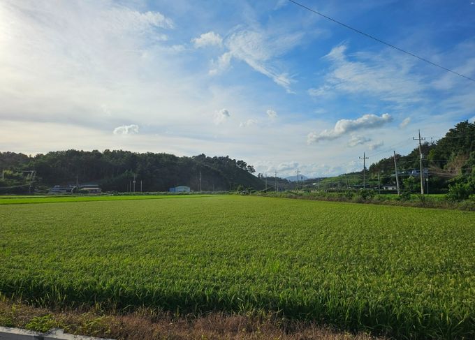 사천시, 벼 육묘상자처리제 지원으로 초기 벼 병해충 예방 강화