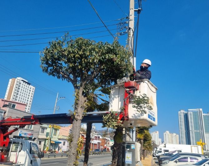 2026년 설맞이 녹지‧공원‧산림 분야 대대적 환경 정비