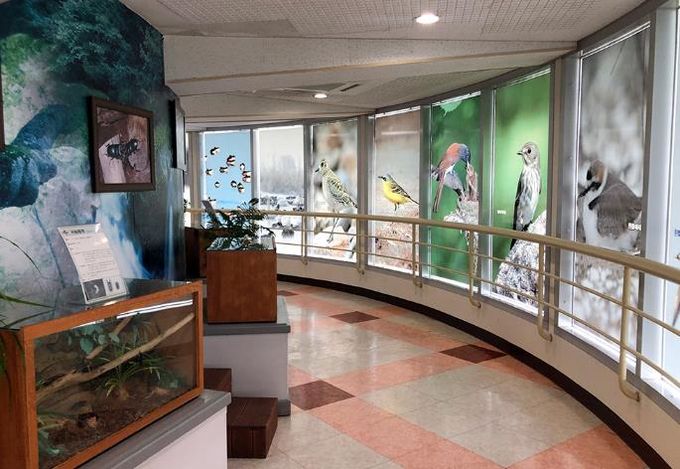 추운겨울도상관없는군산실내여행지4선(금강미래체험관2)