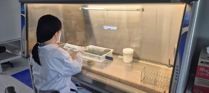 전남보건환경연구원 감염병 진단검사센터 등 사진