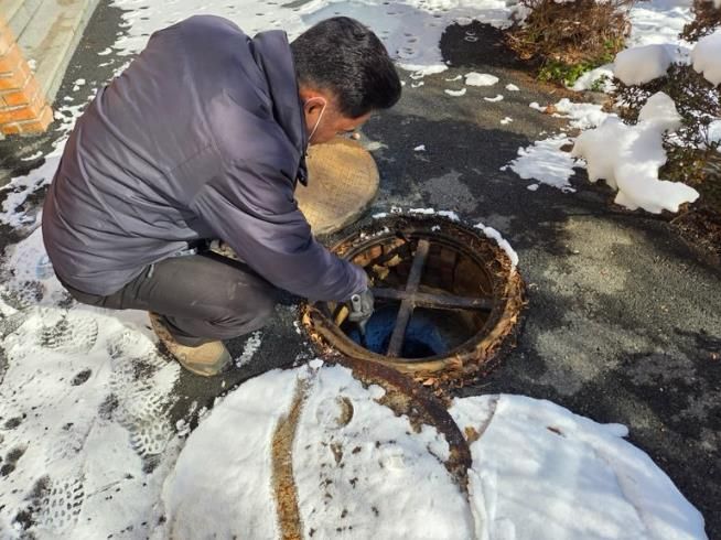 영암군 동면 모기 유충구제사업