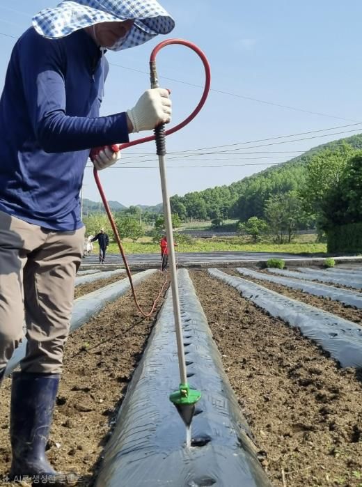 보은군, 2026년 자활근로사업 참여자 상시 모집