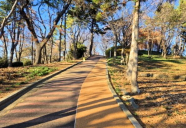 고성군, 남산공원 봄맞이 공원시설 정비 추진(코르크바닥길)