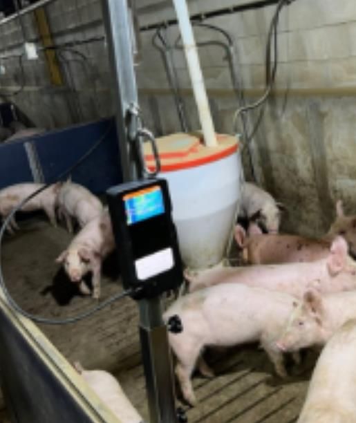 출하선별시스템