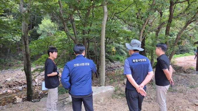 2025년 산림내 불법행위 합동단속(화순군, 산림청) 모습