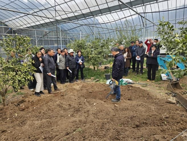 고흥군, 유자 유목 수형 만들기 교육 실시 (1) - 유자 묘목 식재 요령 및 수형만들기 전정교육