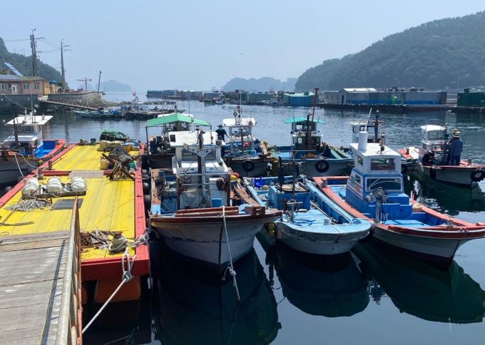 점검을 위해 항포구 정박중인 어선