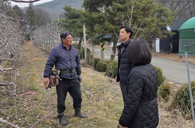 무주군 돌발해충 월동난 예찰 실시