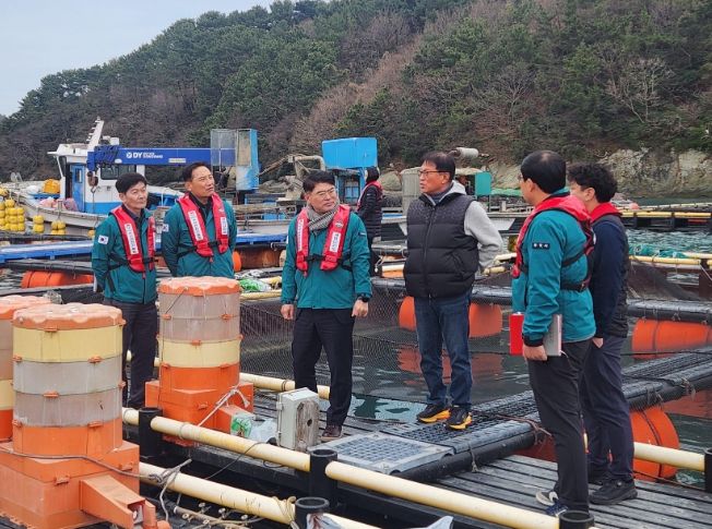 저수온현장점검