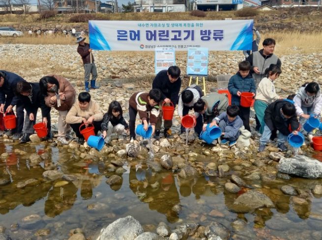 산청군경호강은어방류