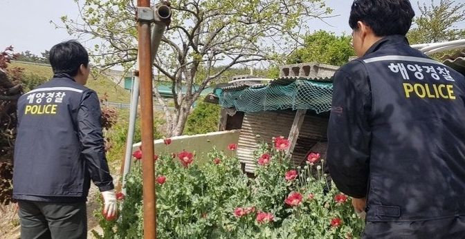 사천해경, 해양 마약류 범죄 집중단속