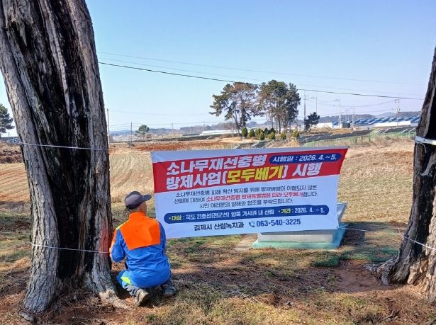소나무재선충병 수종전환