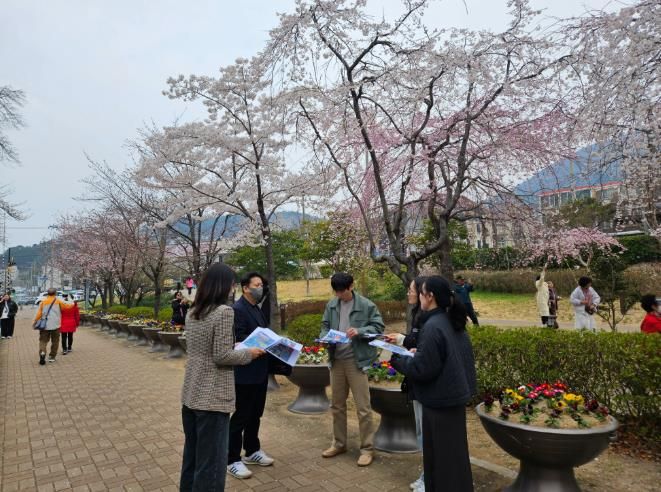 진해군항제 앞두고 불법영업행위 단속 TF팀 현장 사전점검 실시