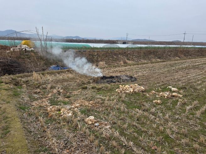 농촌지역 불법 소각 집중 단속 산불위기경보 ‘경계’ 격상
