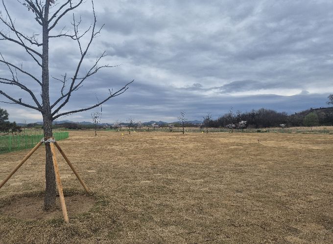 대산파크골프장 교육장 22홀 조성