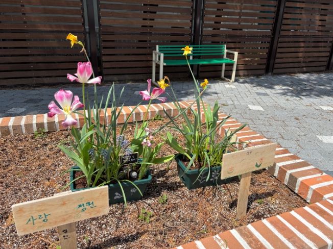 화분심기치유체험